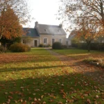 Feuilles mortes jardin